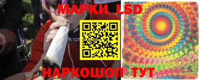 сатива Беслан