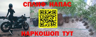 сатива Беслан