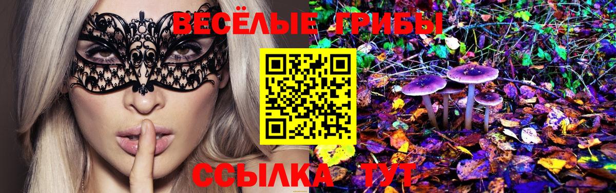 Псилоцибиновые грибы Psilocybe Воскресенск