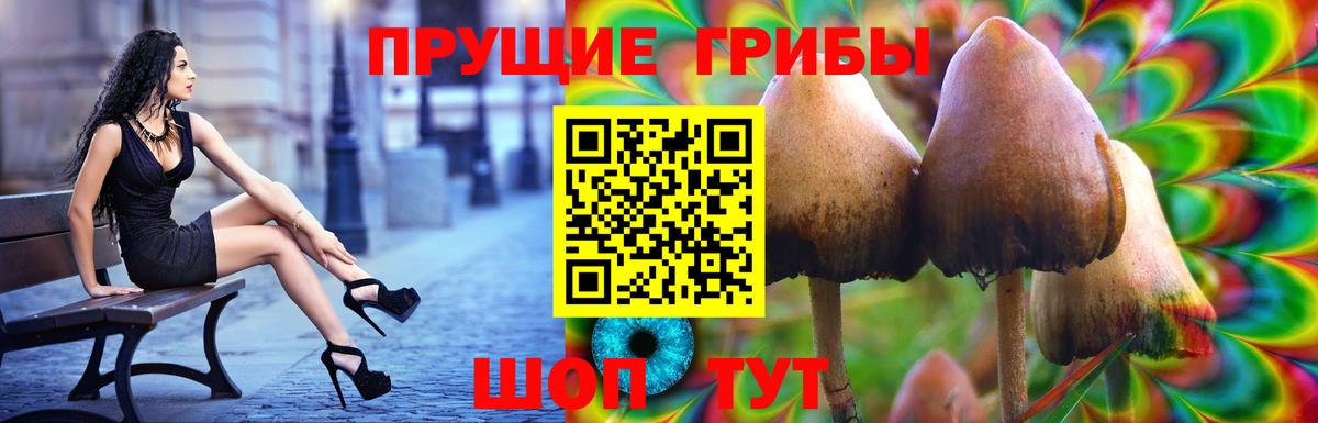 Воскресенск  Галлюциногенные грибы Cubensis  Вход с VPN 